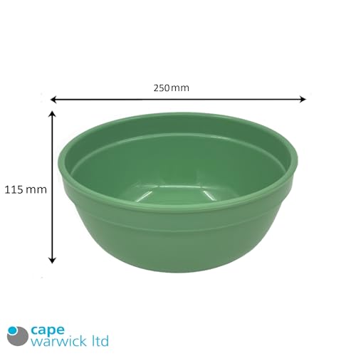 CAPE WARWICK Multi-Use Lotion/Cream Bowl Polypropylene Beauty Care Mixing Bowl Crafting Nail Salon Hair Mixing Bowl Reusable Pack of 10 - Premium Kitchen from CAPE WARWICK - Just £33.24! Shop now at Chabrias Ltd