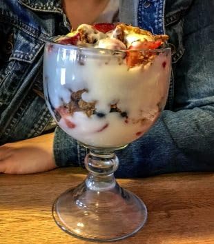 Chabrias Ltd 18oz/510ml Stemmed Dessert Dish | Perfect for Sundaes, Tiramisu, Knickerbocker Glory & More | Thick Glass Dessert Bowls