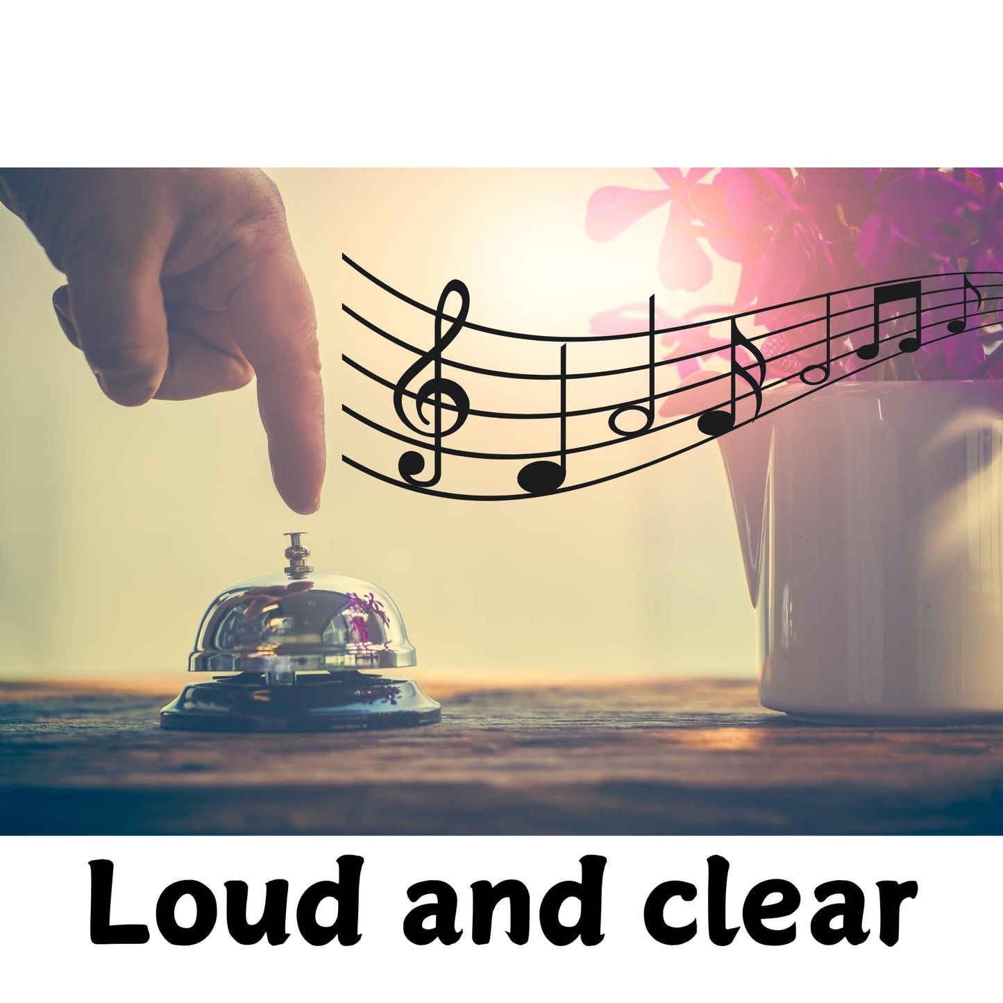 Reception Call Bell - Classic and Convenient Service Alert for Hotels, Restaurants, and More - Premium Musical Instruments from Chabrias Ltd - Just £7.59! Shop now at Chabrias Ltd