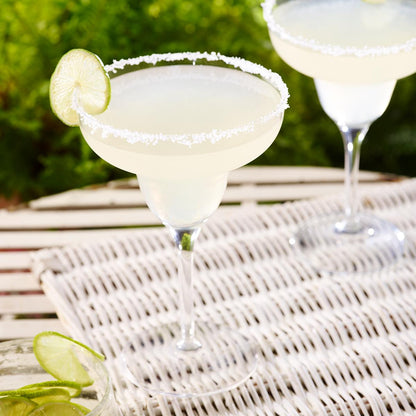 Franco’s Margarita Salt Rimmer with Tequila Salt