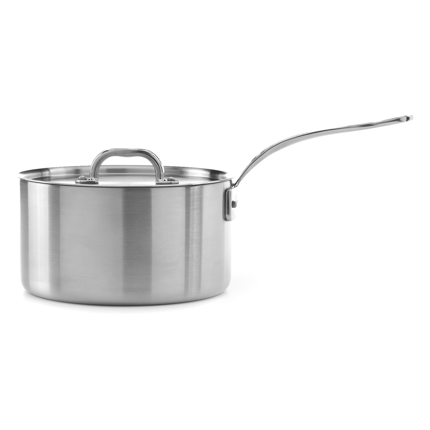 Stainless steel saucepan with lid on a white background