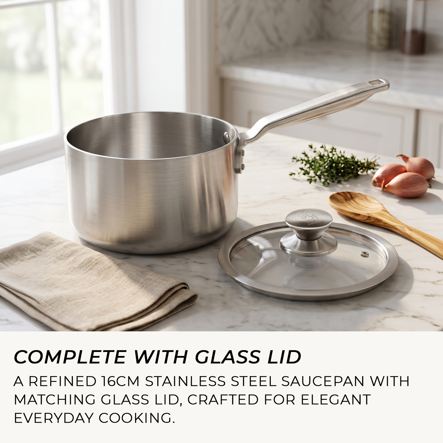 Small stainless steel saucepan with glass lid for rice, grains, vegetables and sauces