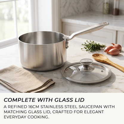 Small stainless steel saucepan with glass lid for rice, grains, vegetables and sauces