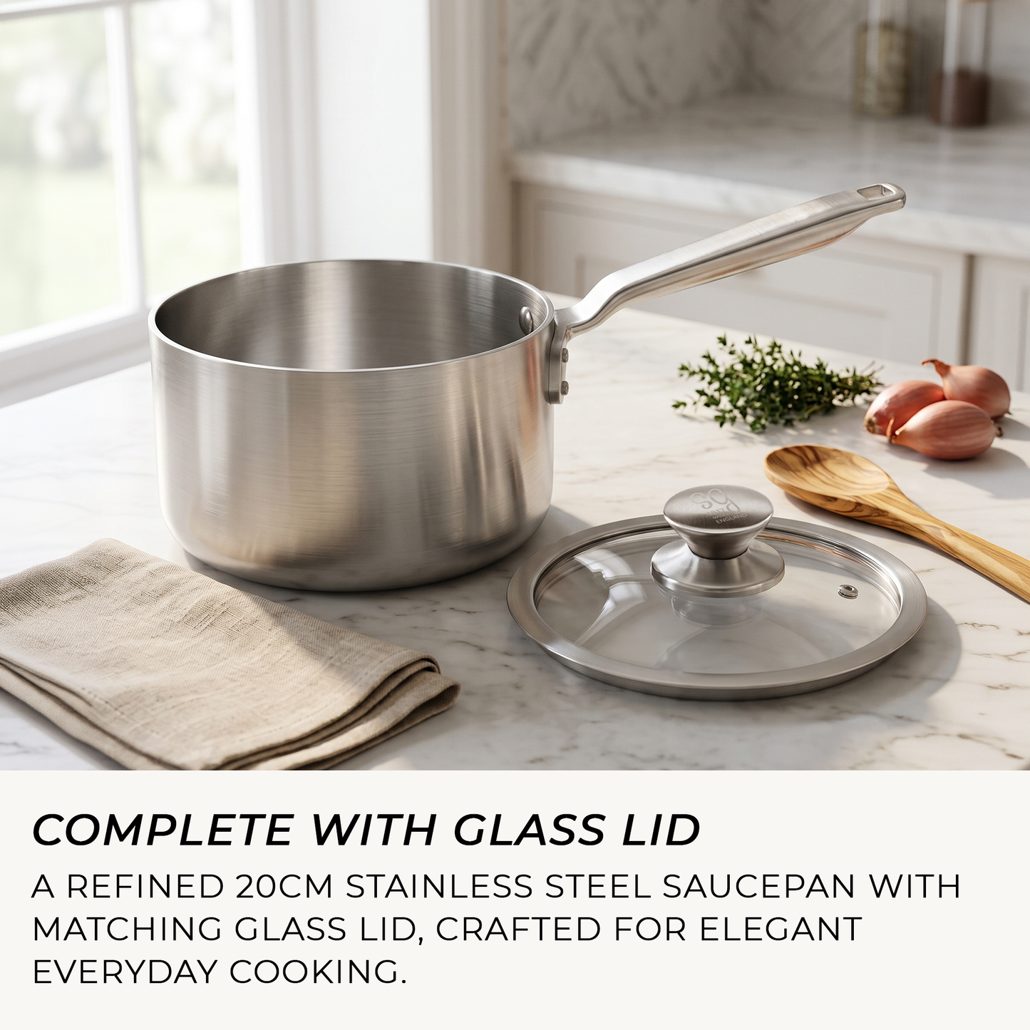 Large stainless steel saucepan with glass lid for soups, rice, grains and batch cooking