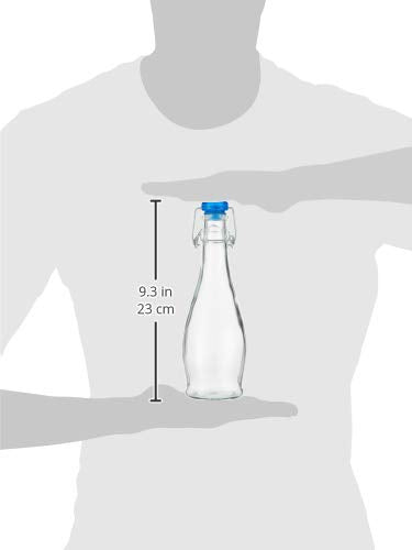 Glass Bottle with Swing Top